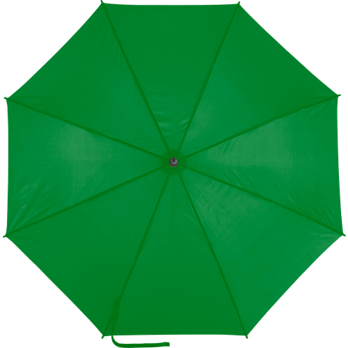 Automatic umbrella 0945_004 (Green)