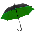 Automatic umbrella 5238_004 (Green)