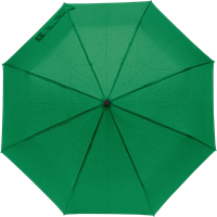Foldable Pongee umbrella 8913_004 (Green)
